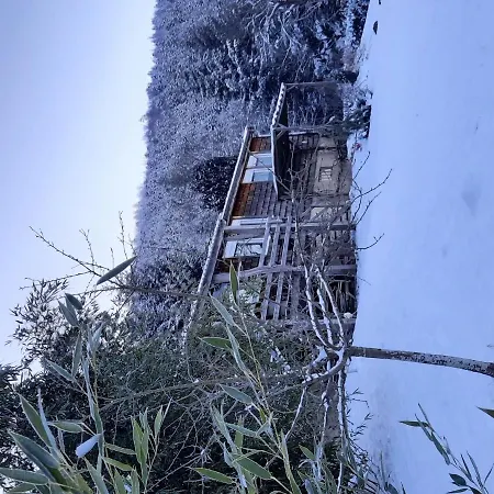 Near Forest Lakes And Hiking Trails シャレー