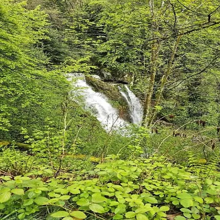 Near Forest Lakes And Hiking Trails シャレー Raon-lʼÉtape