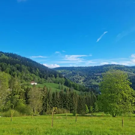 In Near Horská chata