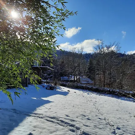 In Near Σαλέ Raon-lʼÉtape