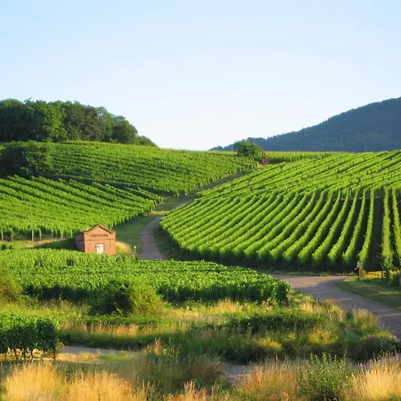 In Near Raon-lʼÉtape