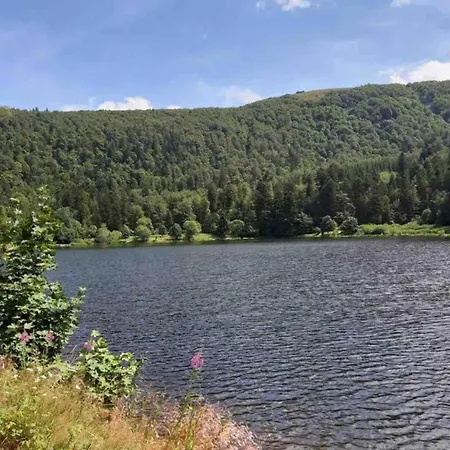 In Near Alpstuga Raon-lʼÉtape