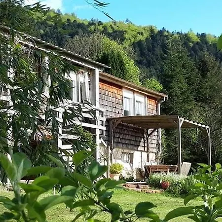 In Near * Raon-lʼÉtape