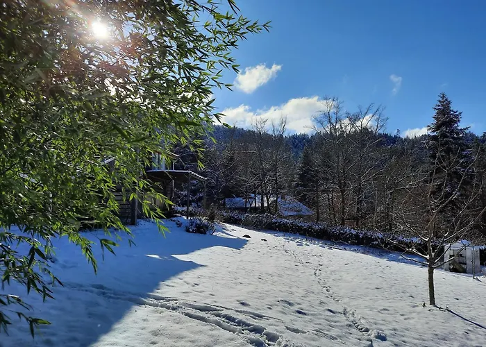 In Near Chalet Raon-l'Etape