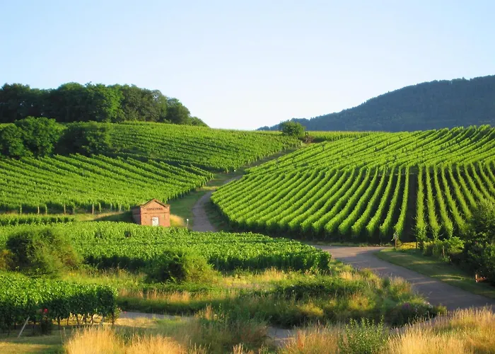 In Near Raon-l'Etape