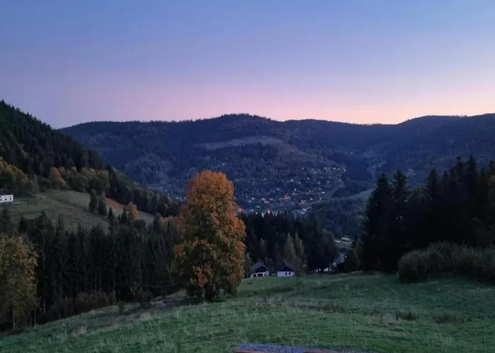 In Near * Raon-l'Etape